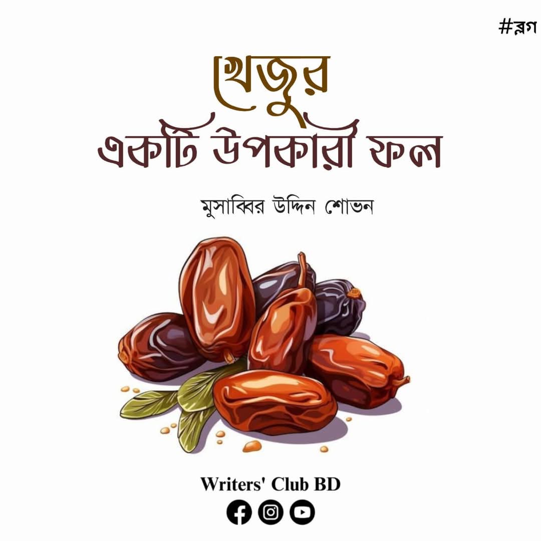 ব্লগ: খেজুর একটি উপকারী ফল