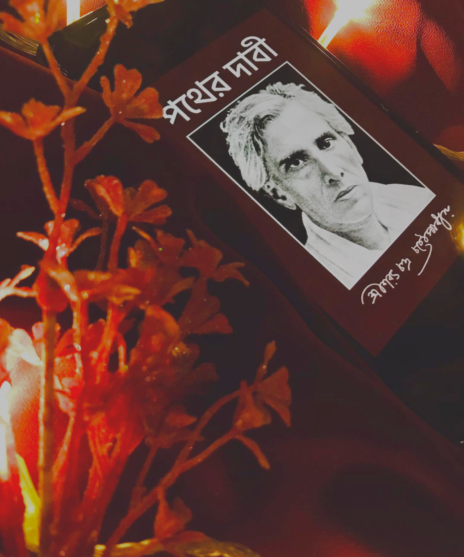 পথের দাবী
